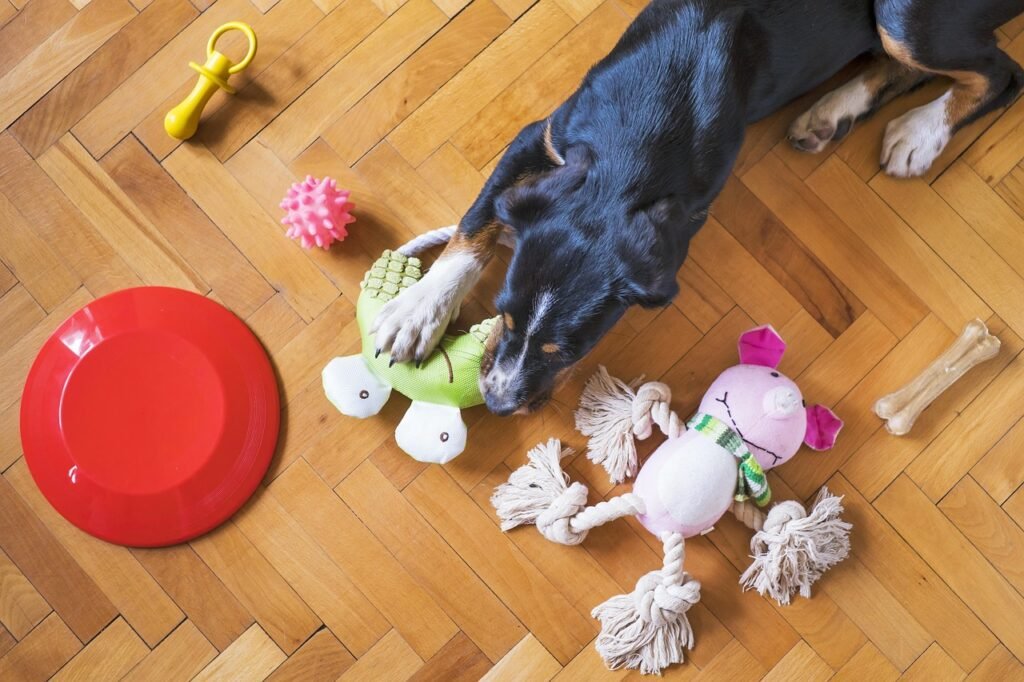 dog toys, pet, dog playing, animal, dog chew toy, dog frisbee, dog rope, dog bone, dog ball, dog, puppy, dog toys, dog toys, dog toys, dog toys, dog toys